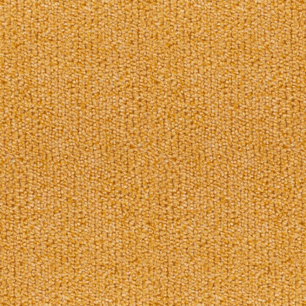 aoraki-Mustard
