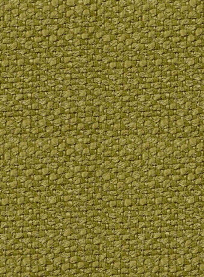 argos-Lime