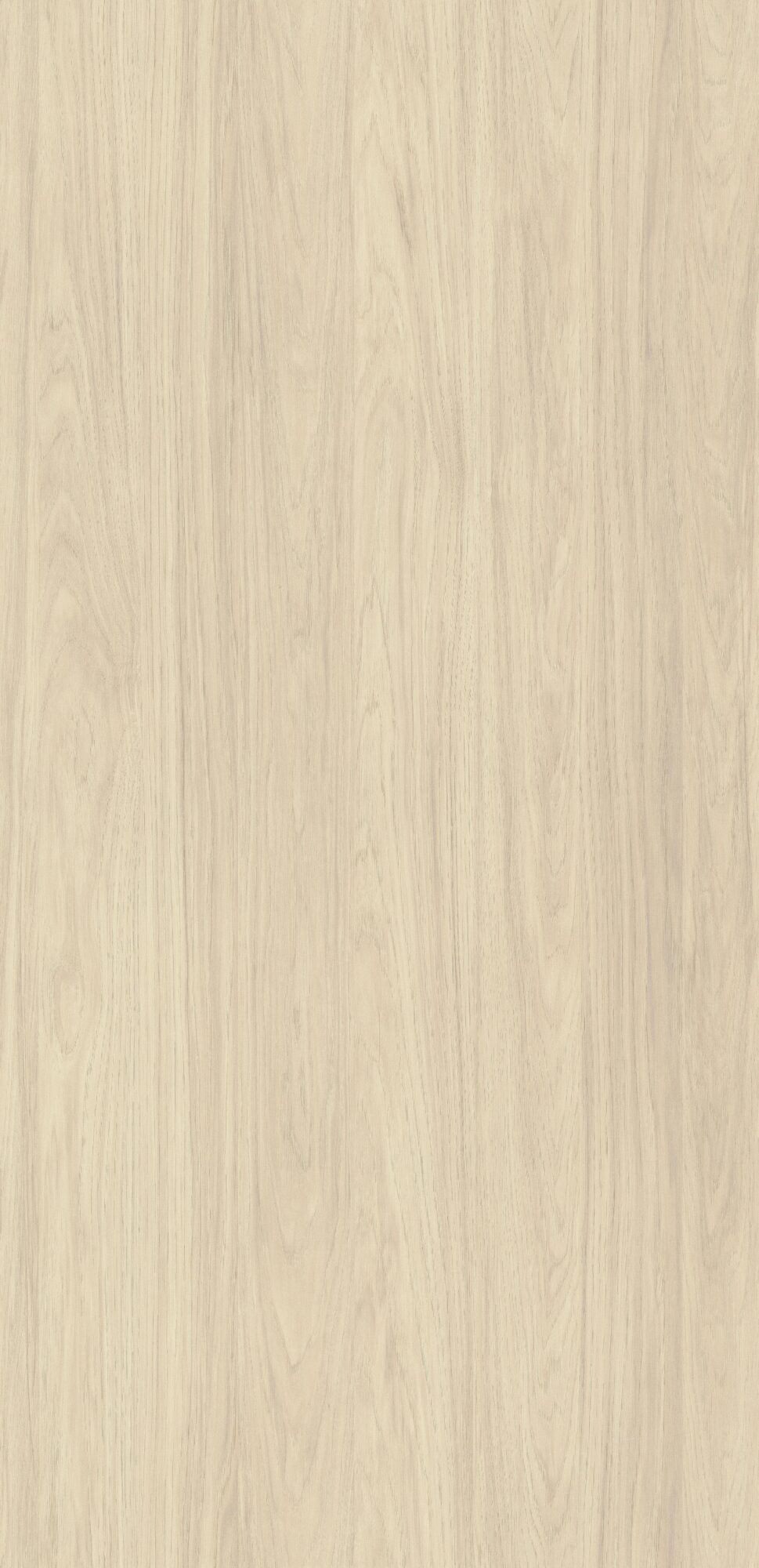 carrara-Hickory Frida