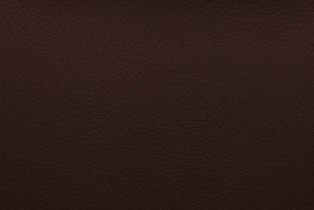 pranna-Vinotinto