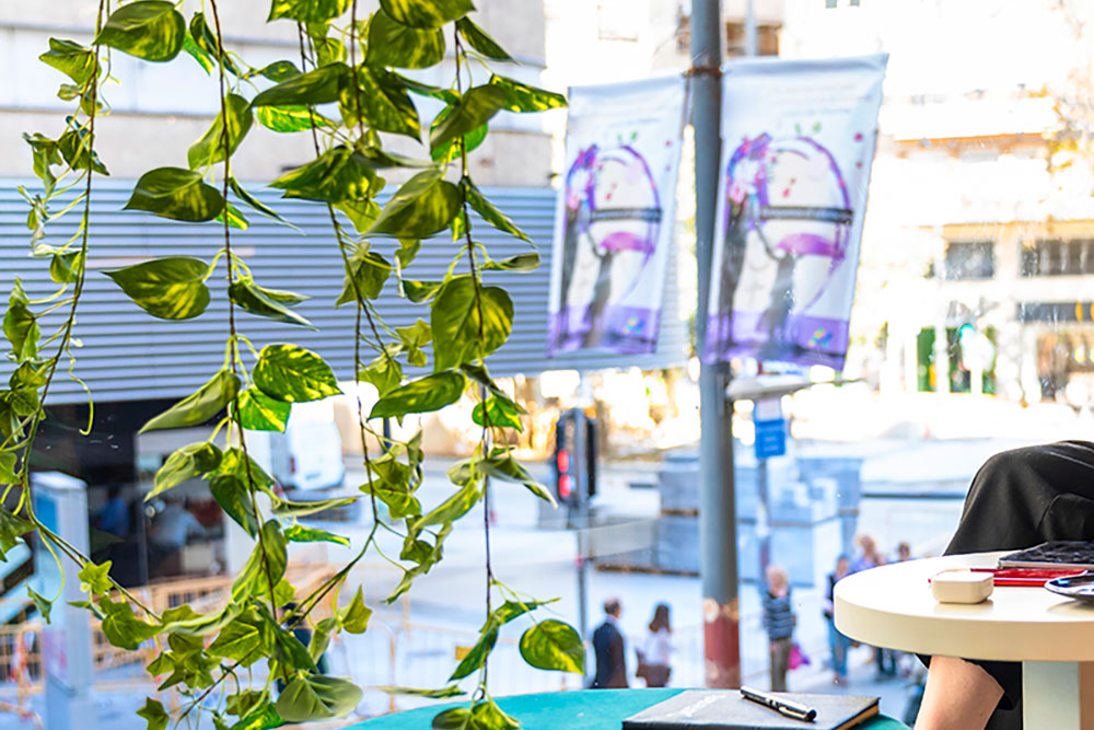 Fotografía de una planta colgante con hojas color verde colocada en una de las salas de espera oficina de un corporativo.